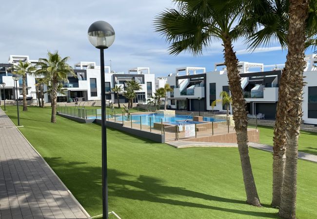 Apartamento en Torrevieja - f9017