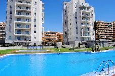 Apartamento en La Mata - aq47a