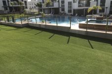 Apartment in Torrevieja - f9017