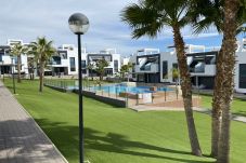 Apartment in Torrevieja - f9017