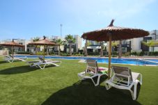 Apartment in Torrevieja - tindra9